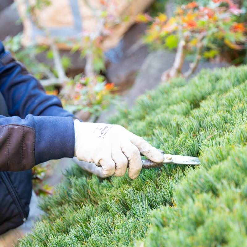 暮らしを格上げする、美しく豊かな庭のある生活を。