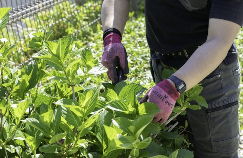 その他のお客様へ